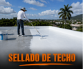Sellado de Techos